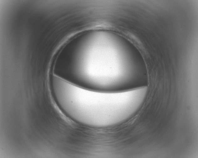 X0000069361422200605120905