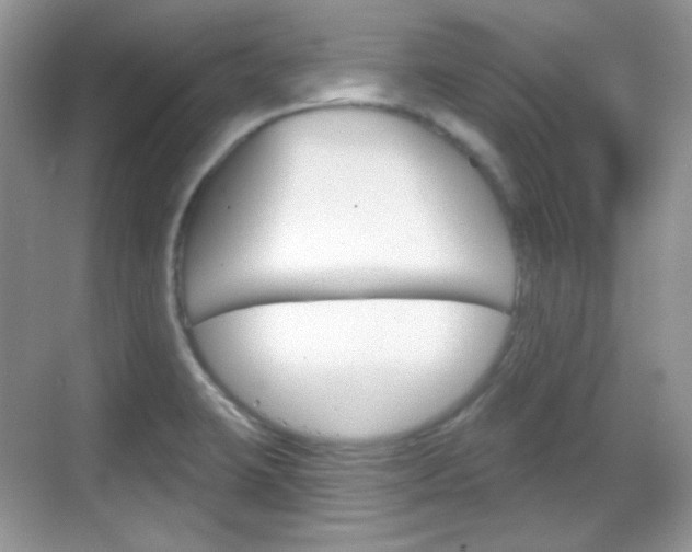 X0000069361423200605120905