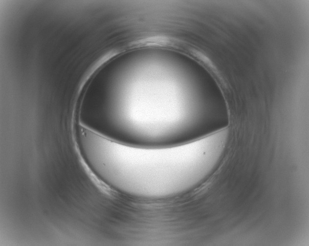 X0000069361426200605120905