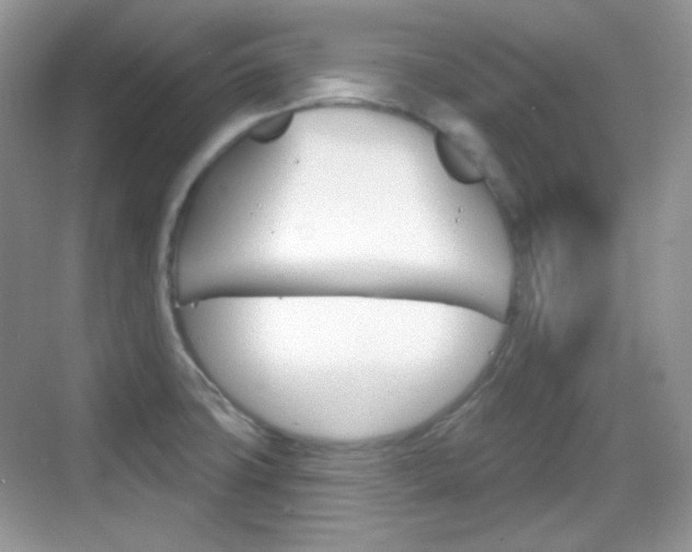 X0000069361427200605120905