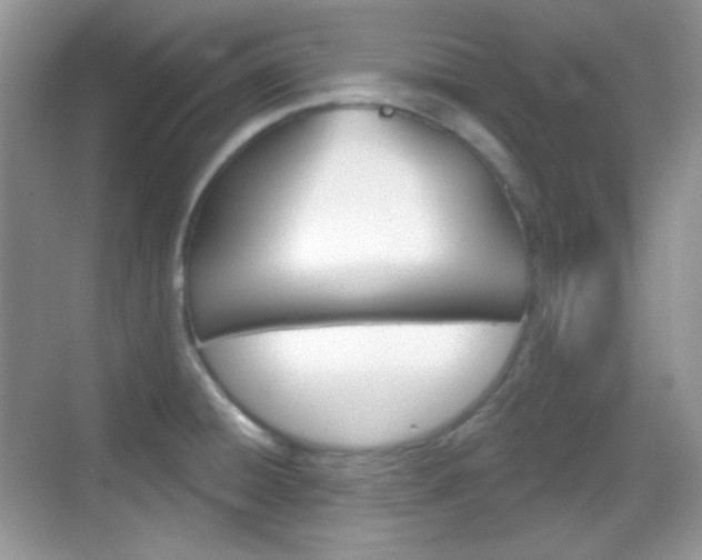 X0000069361428200605120905