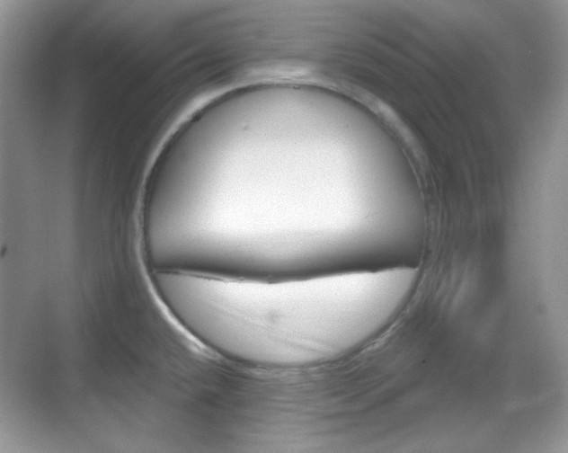 X0000069361432200605120905