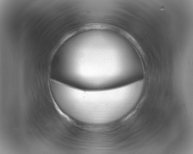 X0000069361433200605120905