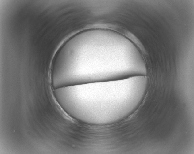 X0000069361436200605120905