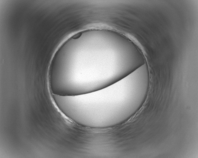 X0000069361440200605120905