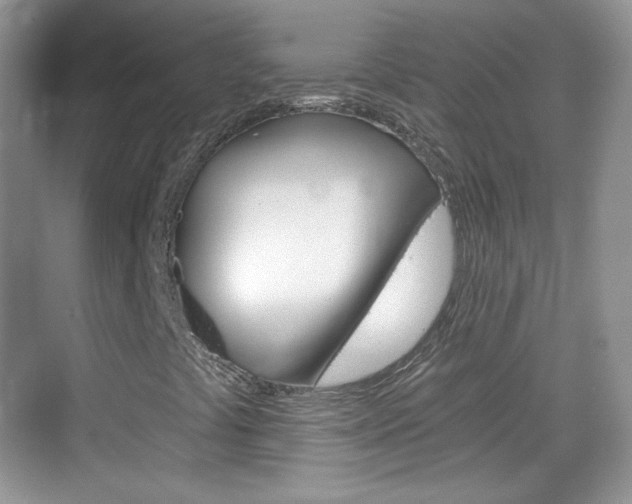 X0000069361441200605120904