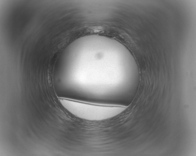 X0000069361442200605120904