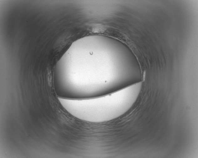 X0000069361443200605120904