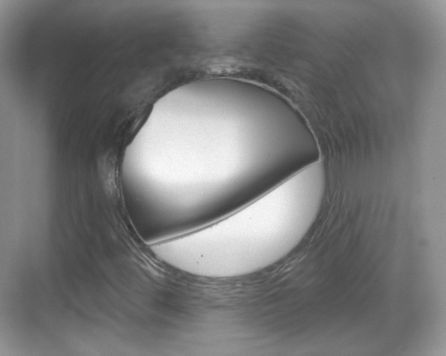 X0000069361444200605120904