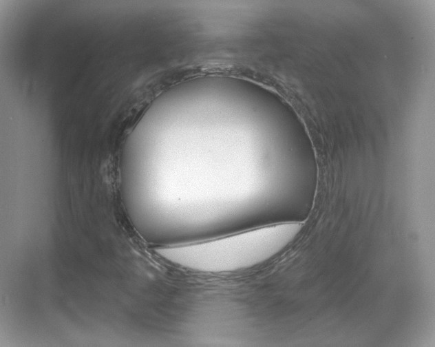 X0000069361445200605120904