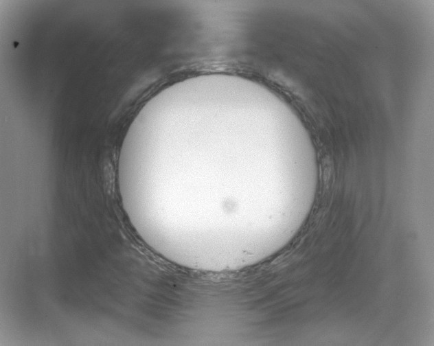 X0000069361446200605120904