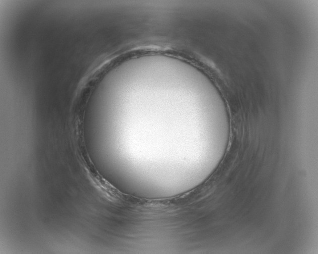 X0000069361448200605120904