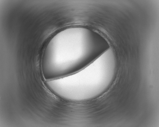 X0000069361450200605120904