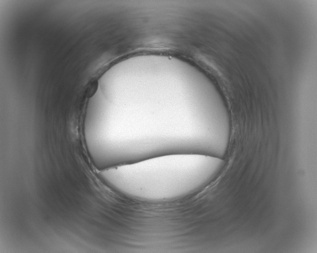X0000069361451200605120904