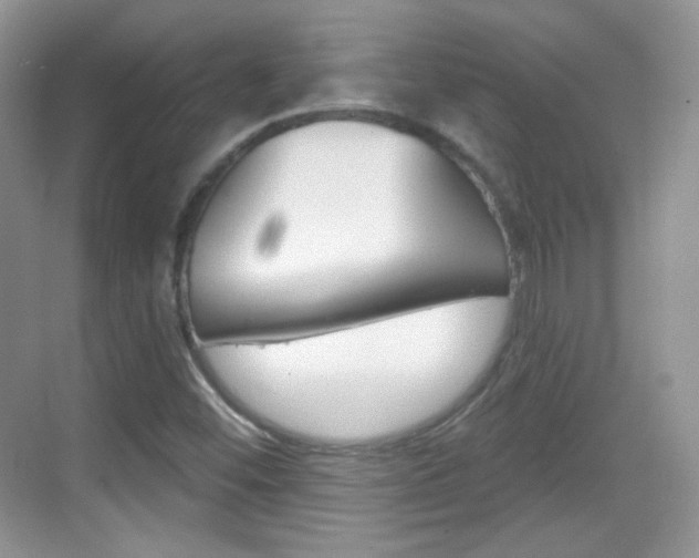X0000069361452200605120904