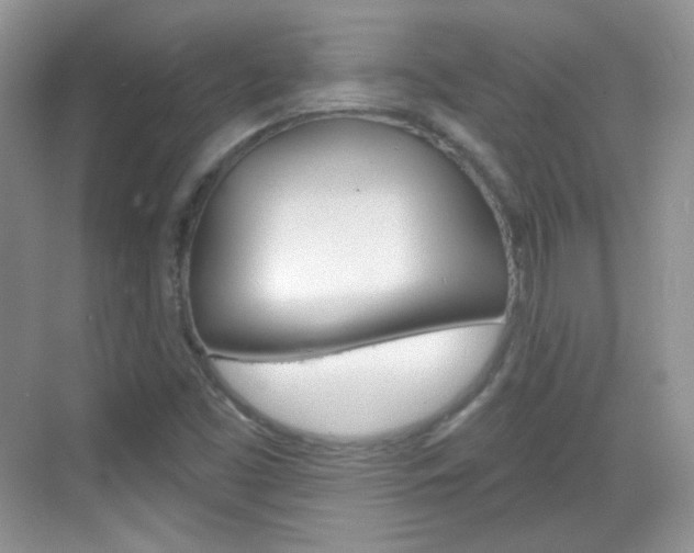X0000069361453200605120904