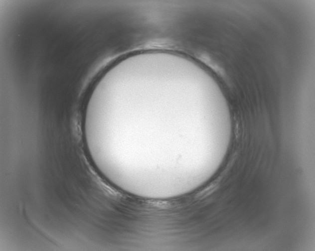 X0000069361454200605120904