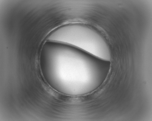 X0000069361457200605120904