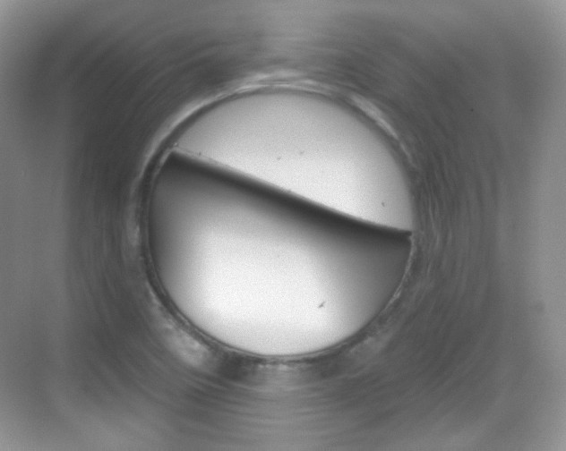 X0000069361458200605120904
