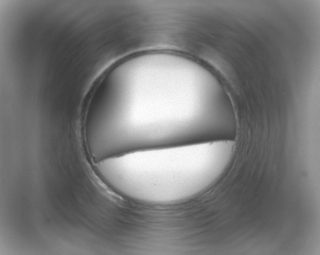 X0000069361460200605120904