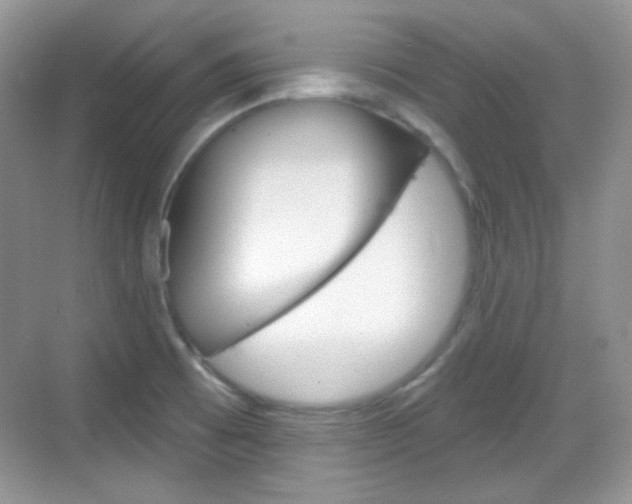 X0000069361473200605120904