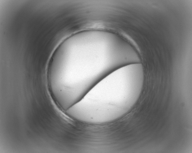 X0000069361475200605120903