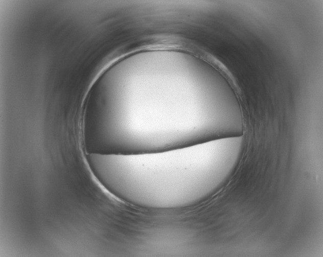 X0000069361487200605120903