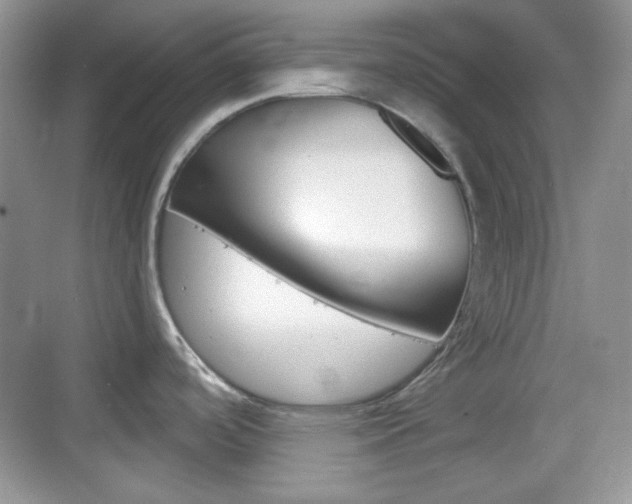 X0000069361488200605120903