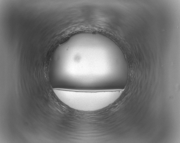 X0000069361490200605120902