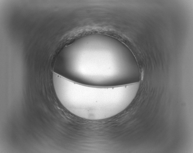 X0000069361492200605120903