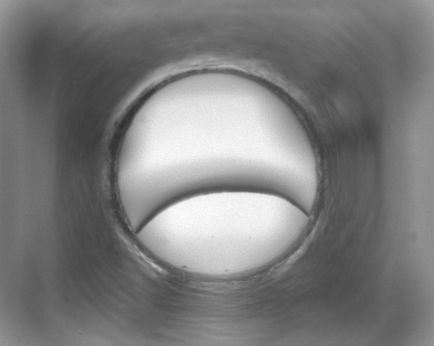 X0000069361502200605120903