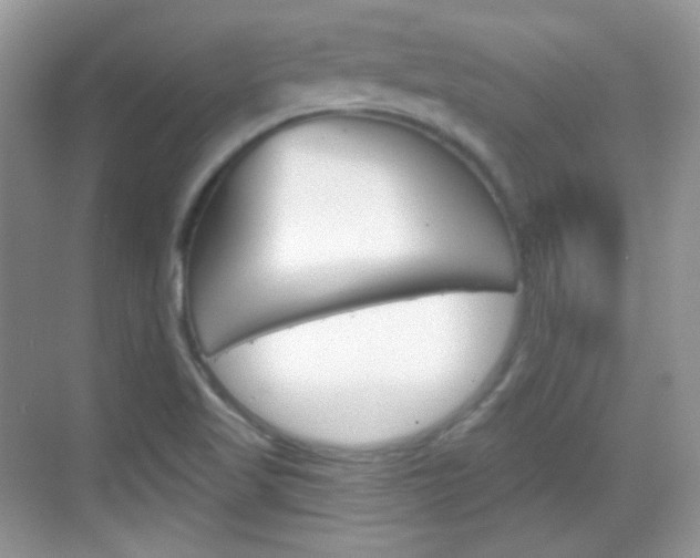 X0000069361509200605120903
