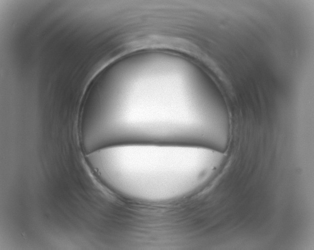 X0000069361513200605120903