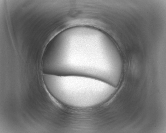 X0000069361521200605120903