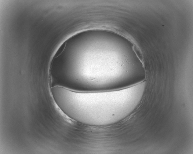 X0000069361532200605120903