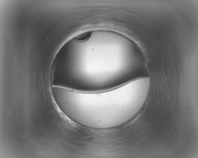 X0000069361534200605120903
