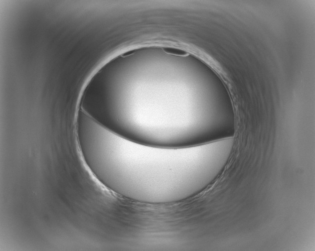 X0000069361536200605120903