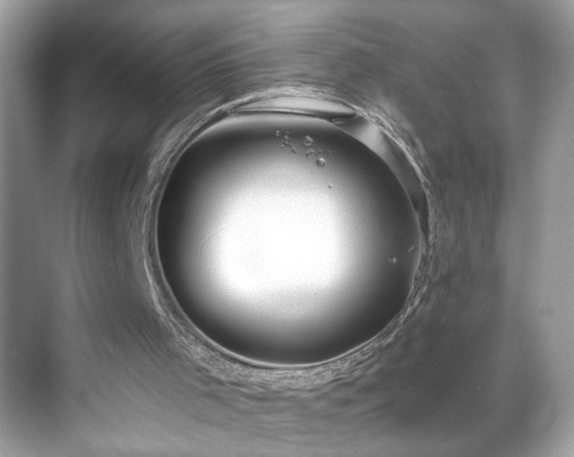 X0000069360001200605121129