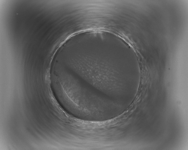 X0000069360002200605121129