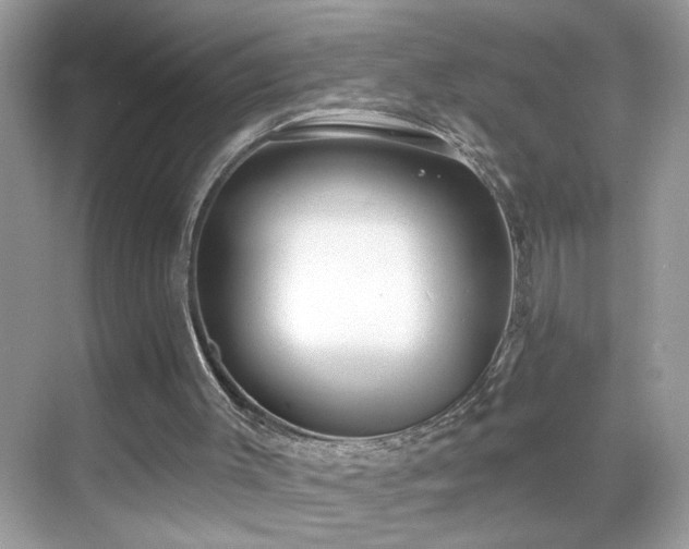 X0000069360003200605121129