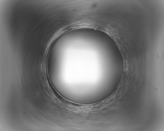 X0000069360004200605121129