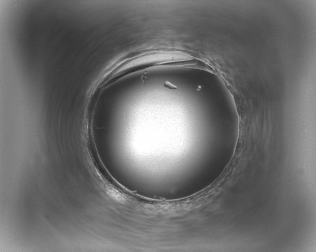 X0000069360005200605121129