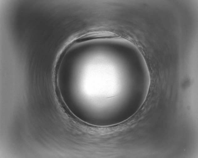 X0000069360006200605121129