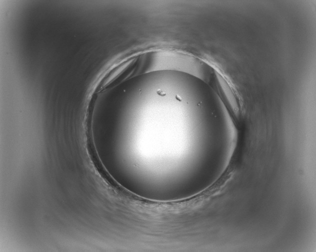 X0000069360007200605121129