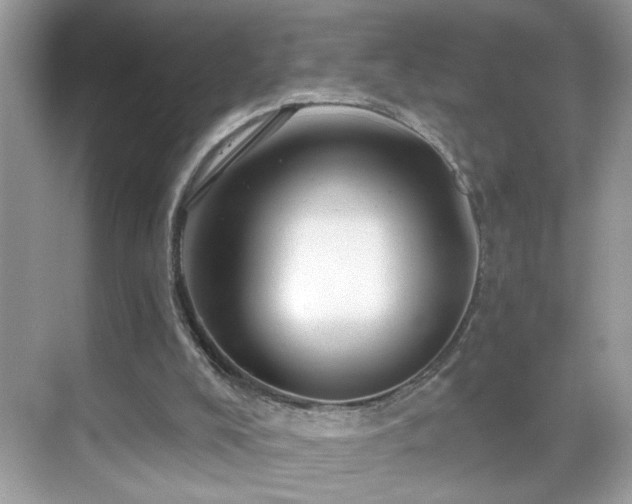 X0000069360008200605121128