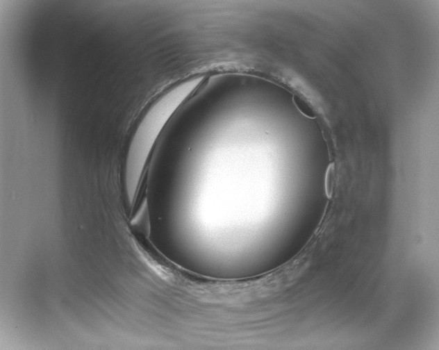 X0000069360009200605121128