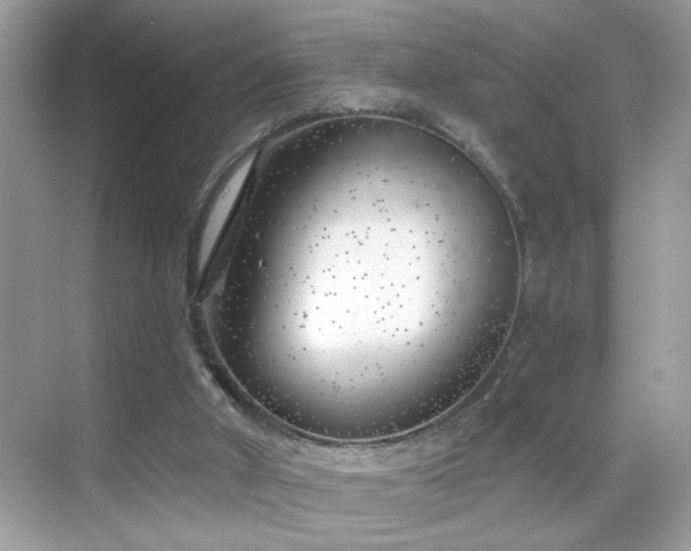 X0000069360010200605121128