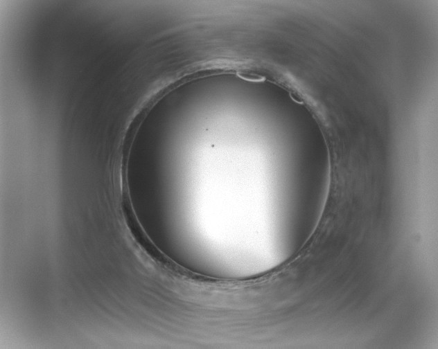 X0000069360011200605121128