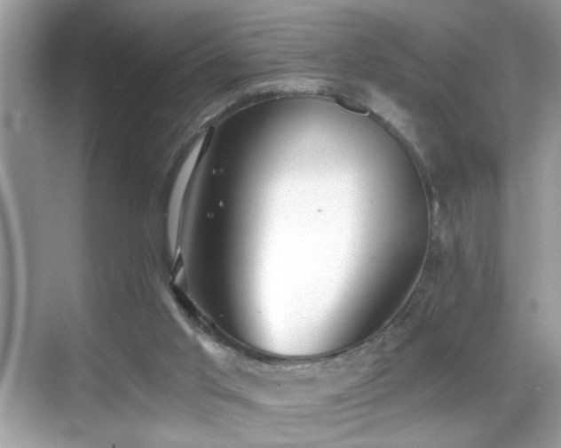 X0000069360013200605121128