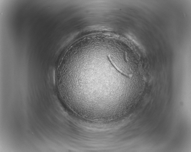 X0000069360014200605121128